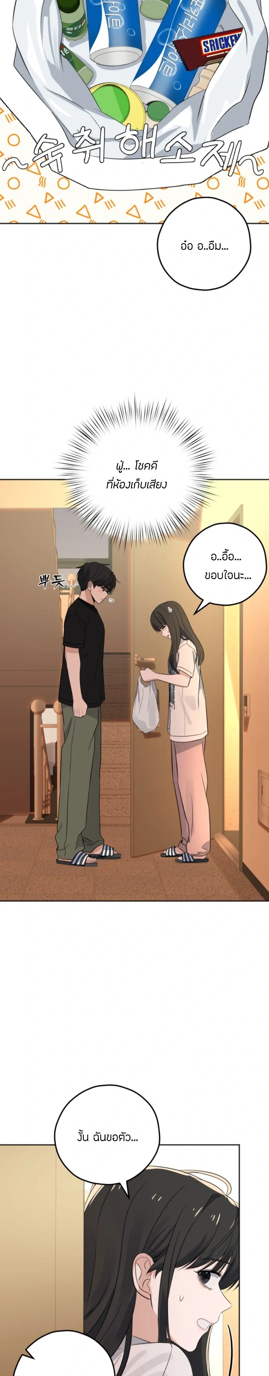 หน้าที่ 17