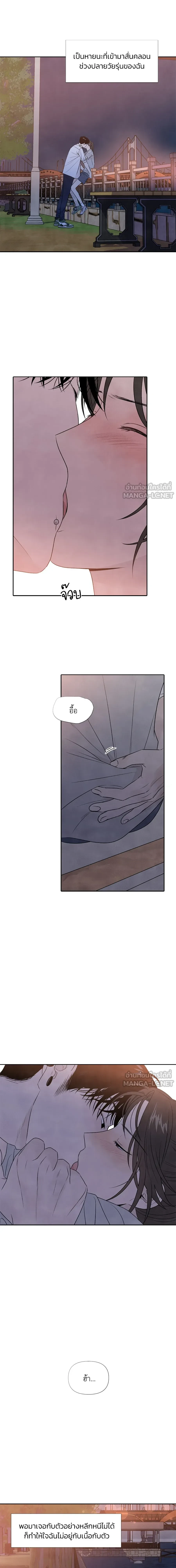 หน้าที่ 14