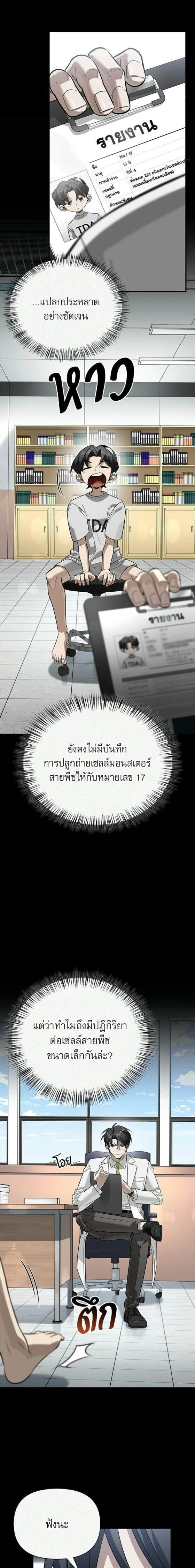 หน้าที่ 13