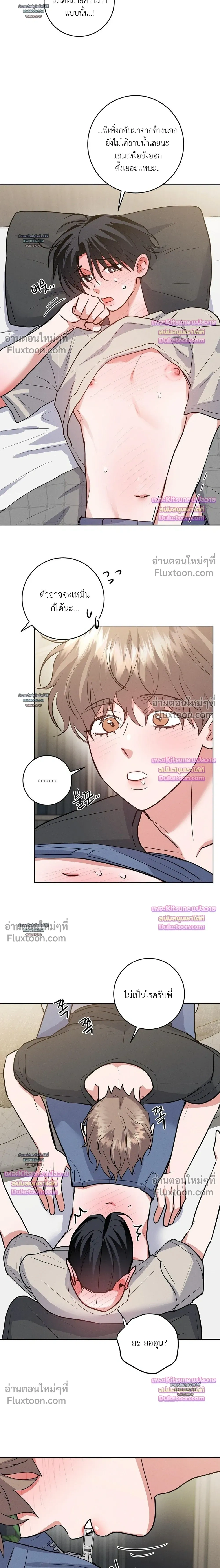 หน้าที่ 17