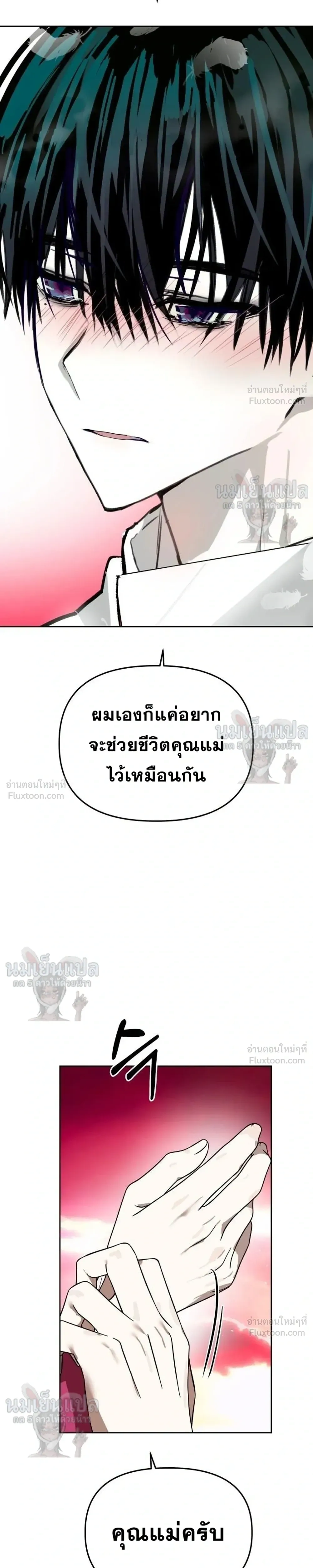 หน้าที่ 30