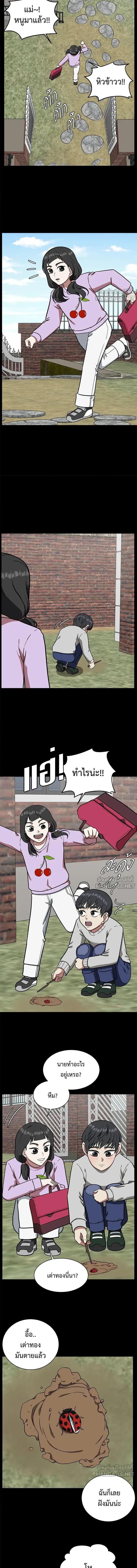 หน้าที่ 13