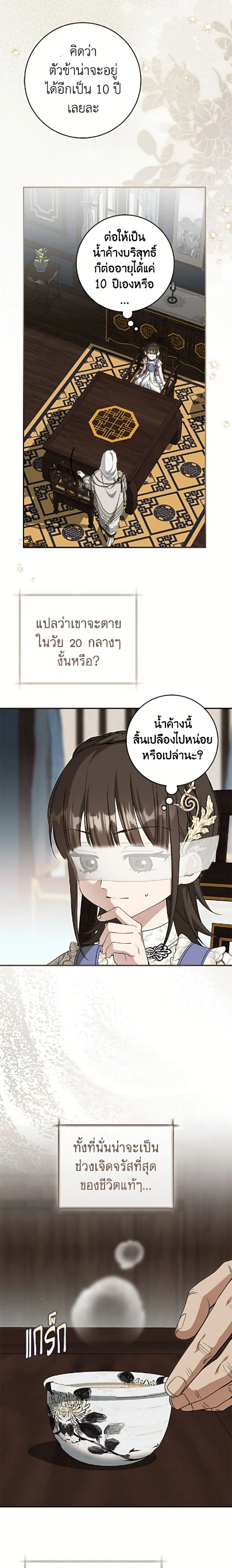 หน้าที่ 17