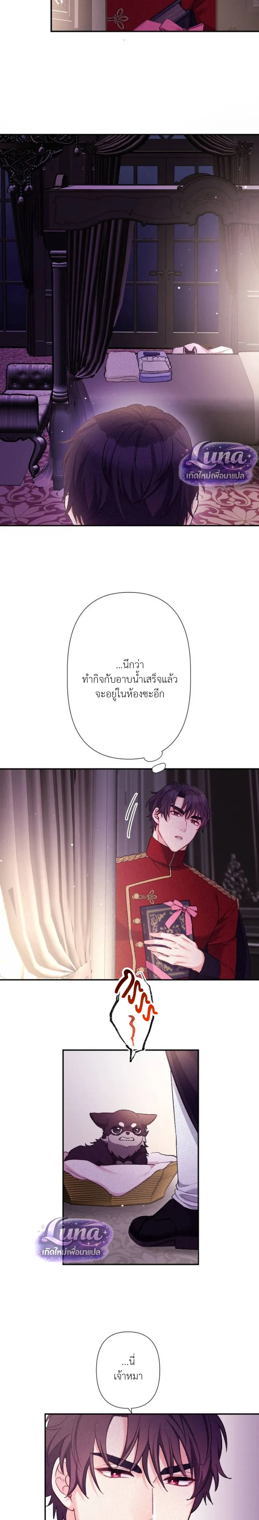 หน้าที่ 19
