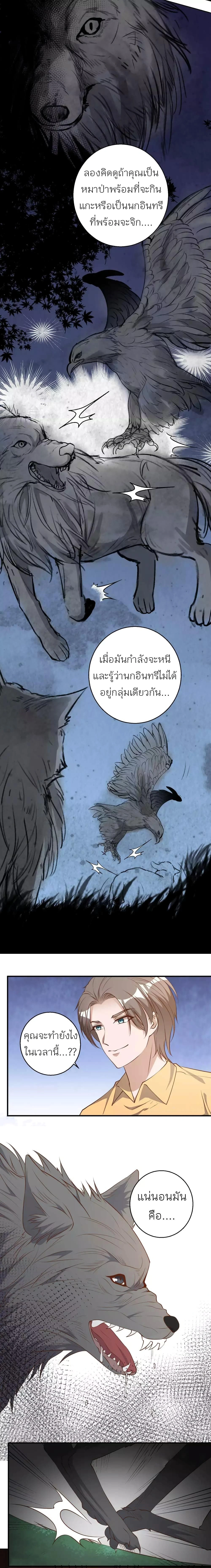 หน้าที่ 5