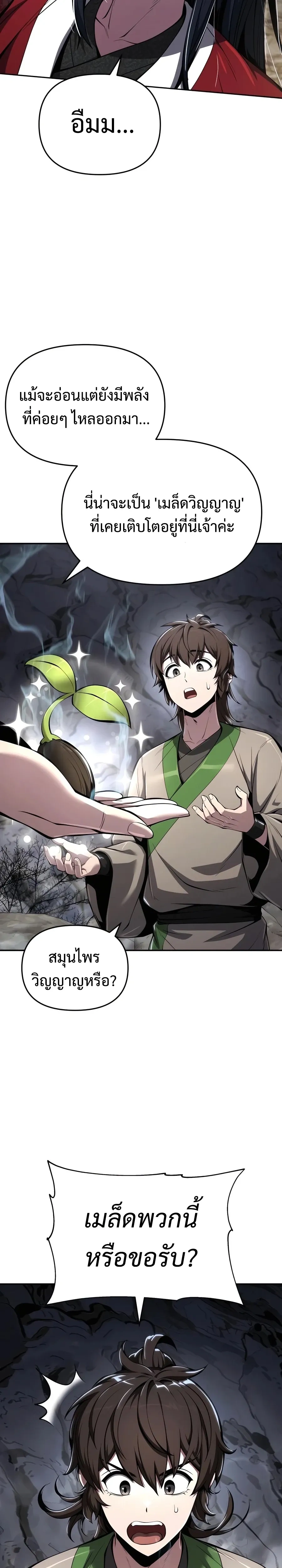 หน้าที่ 30