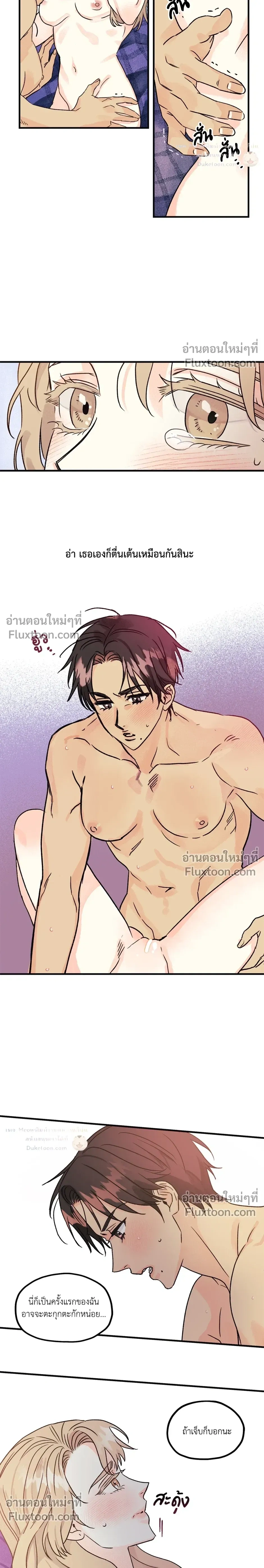 หน้าที่ 3