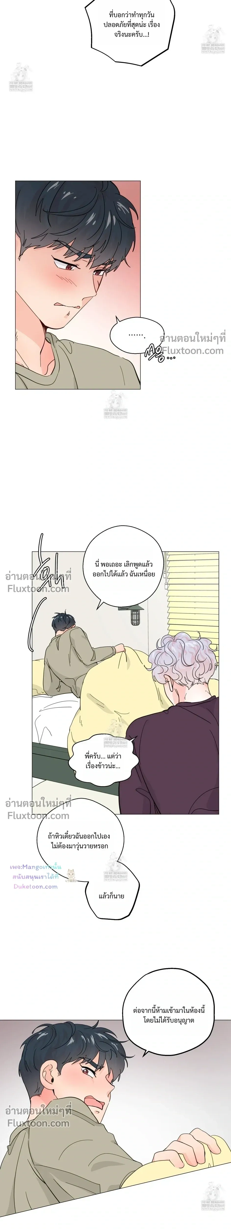 หน้าที่ 11