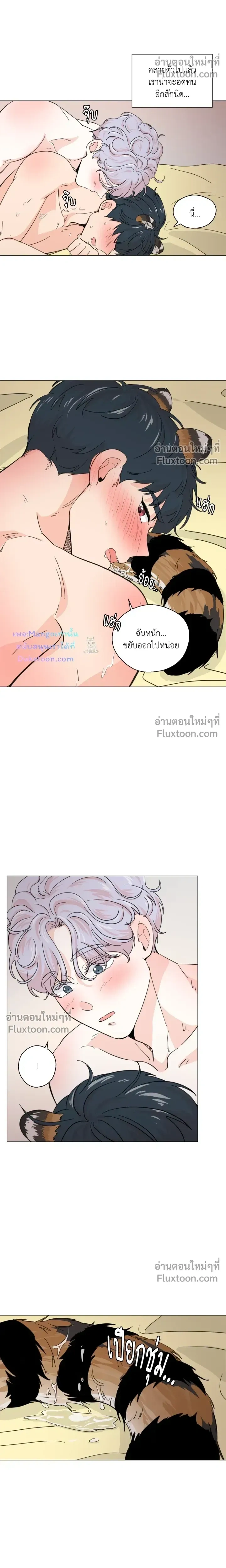 หน้าที่ 11