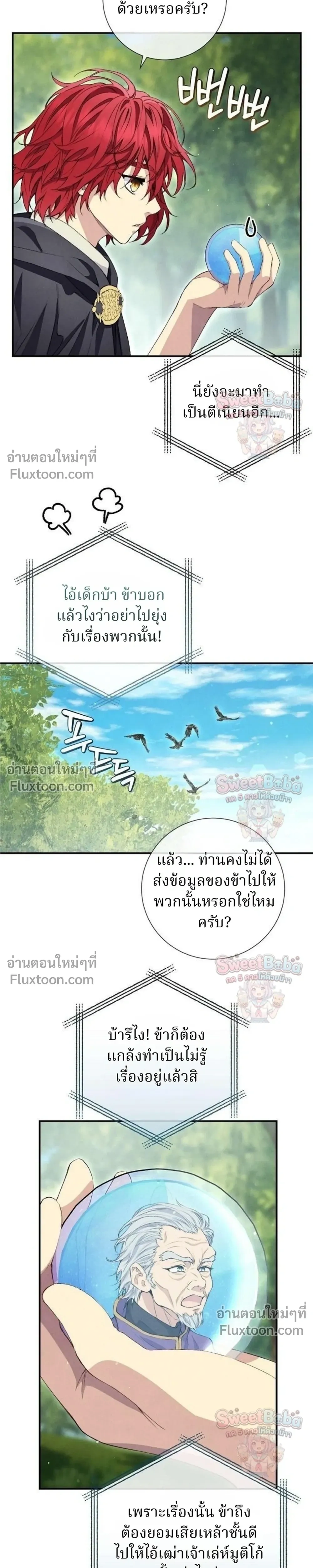หน้าที่ 13
