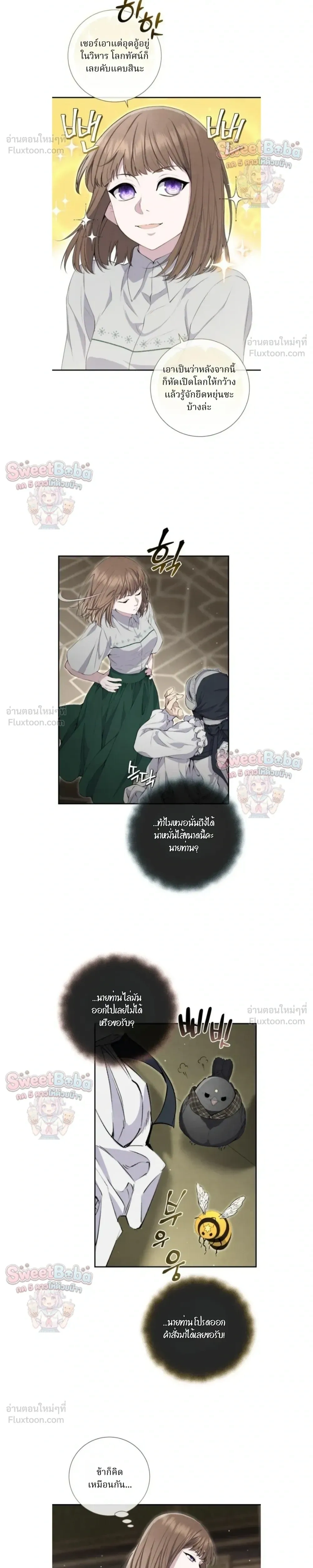 หน้าที่ 13