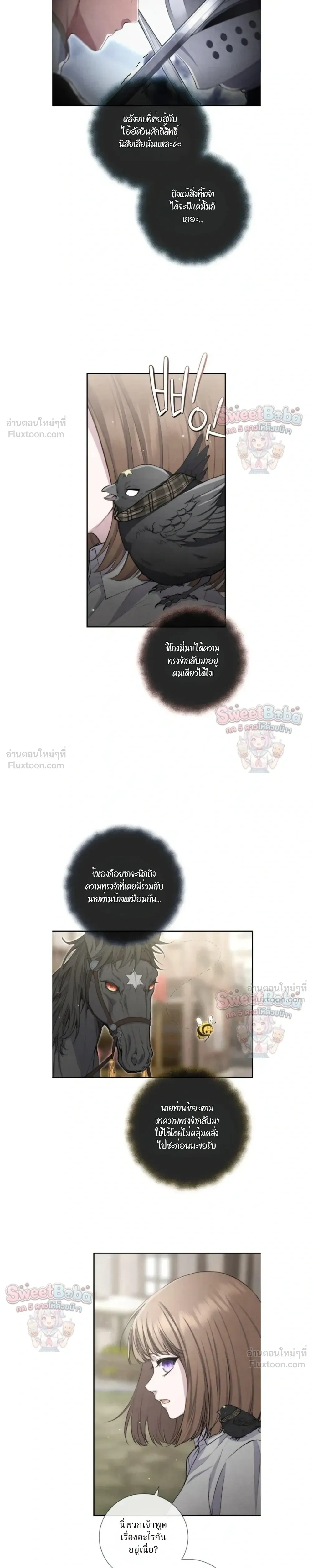 หน้าที่ 13
