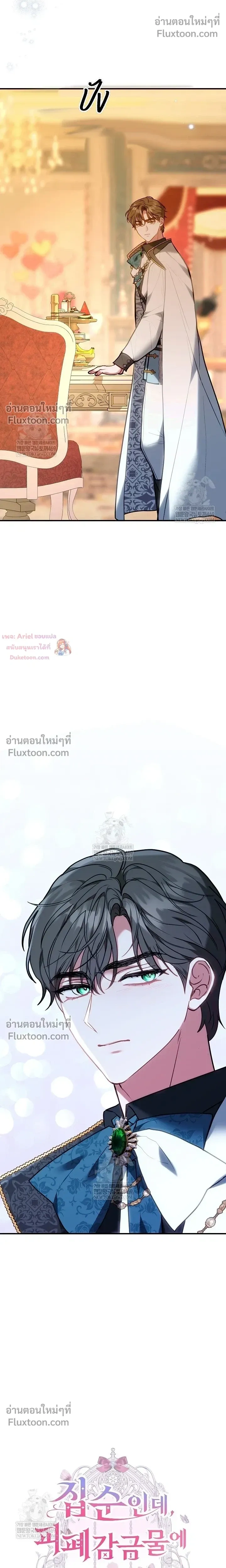 หน้าที่ 11