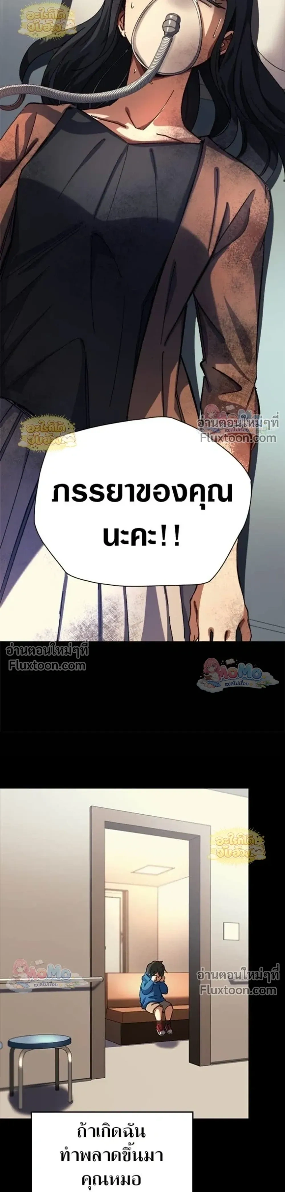 หน้าที่ 13