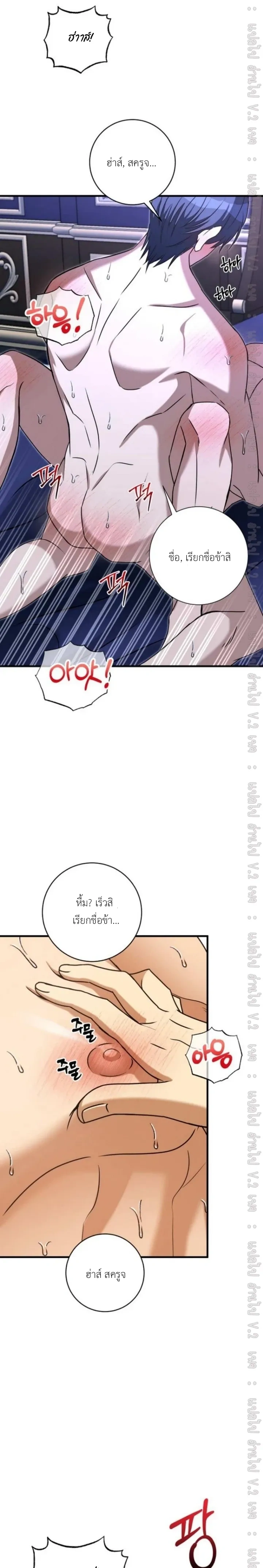 หน้าที่ 17