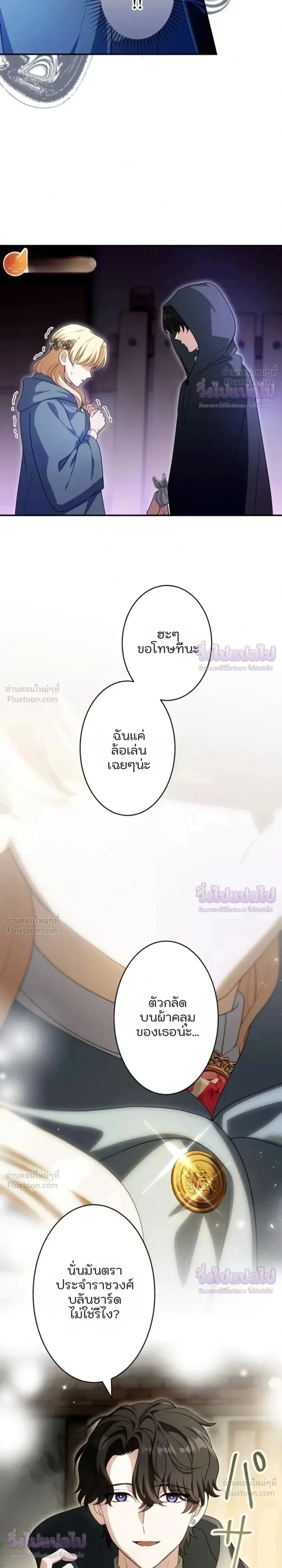 หน้าที่ 13