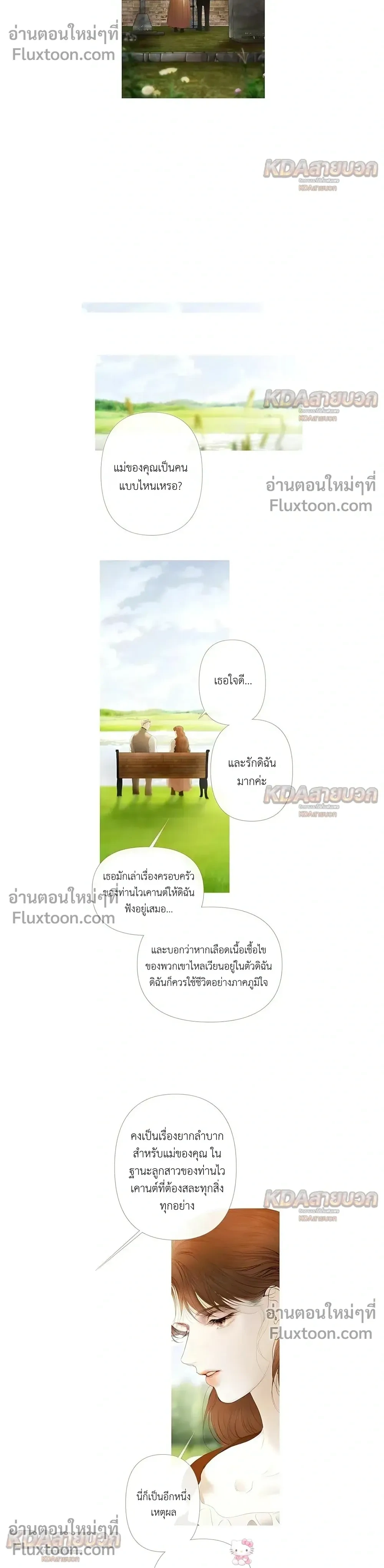 หน้าที่ 13