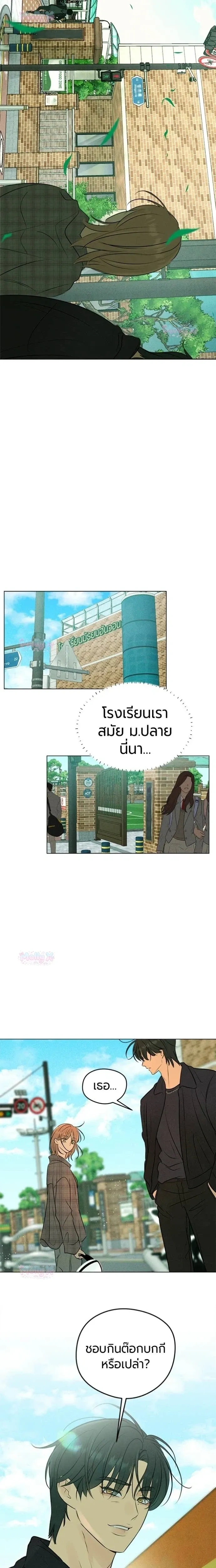 หน้าที่ 13