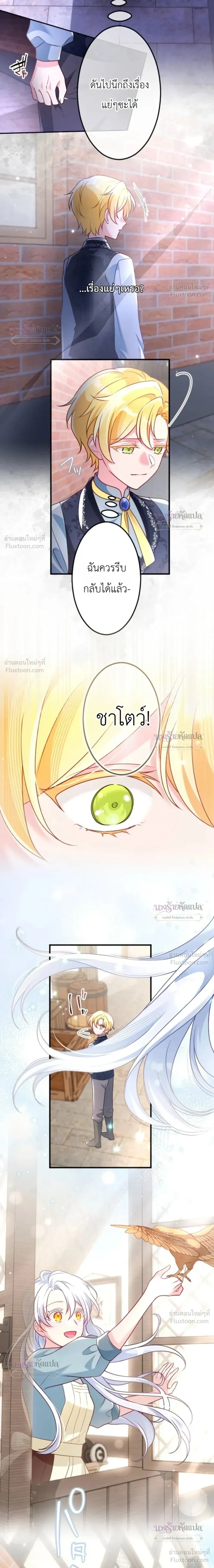 หน้าที่ 31