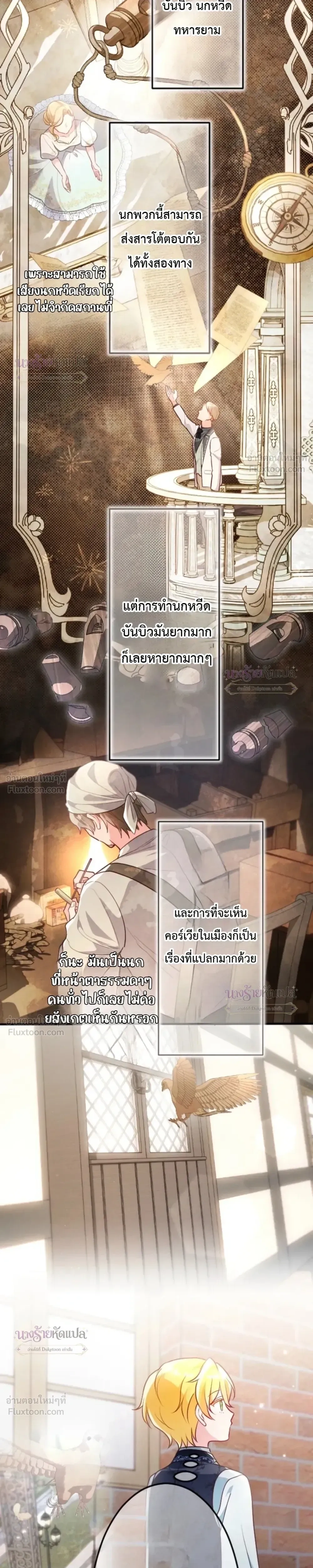 หน้าที่ 29
