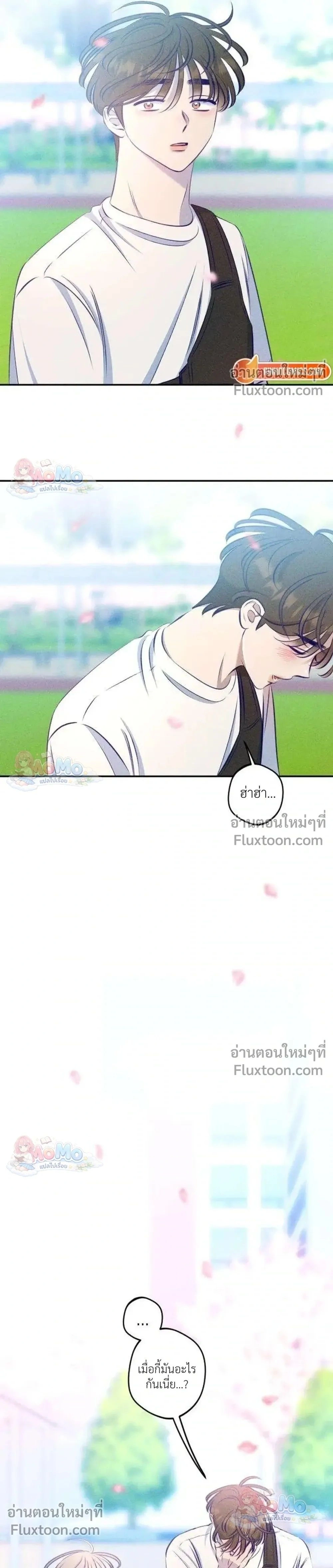 หน้าที่ 31