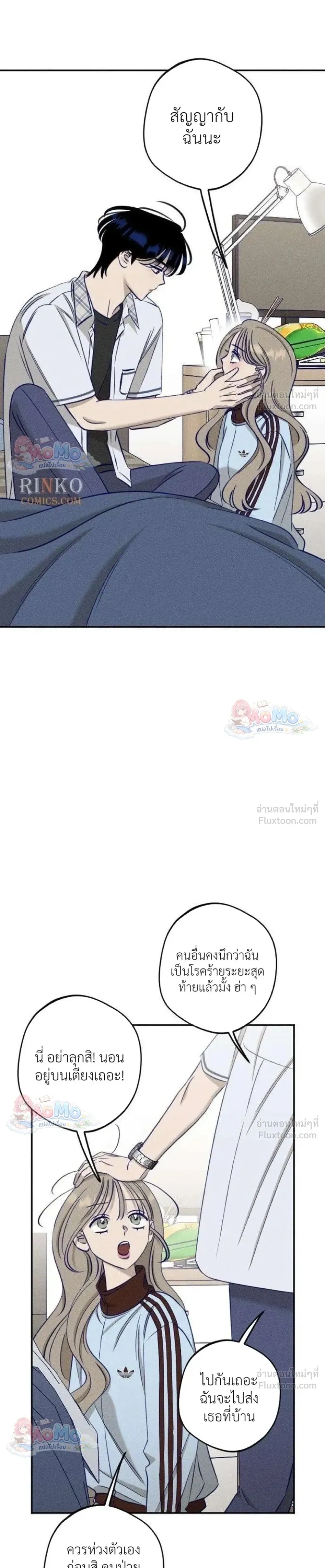 หน้าที่ 13
