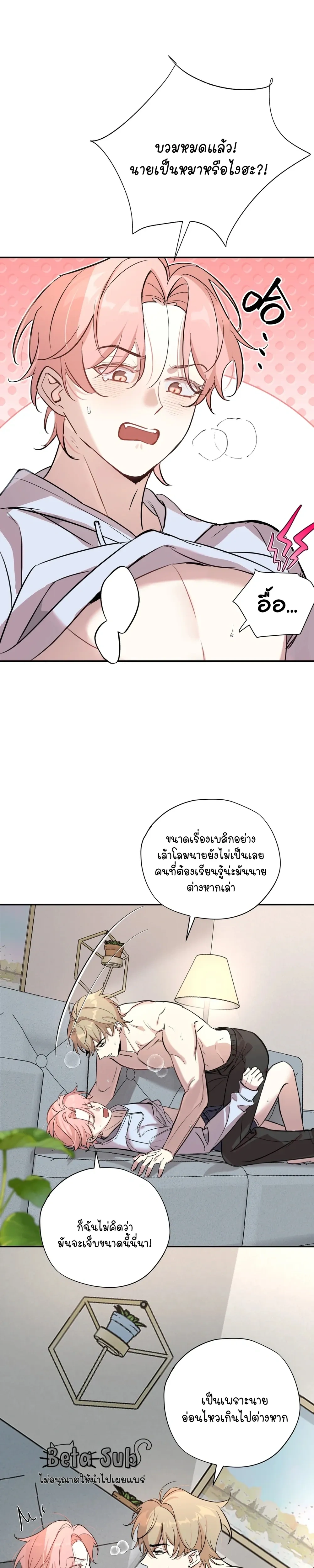 หน้าที่ 6