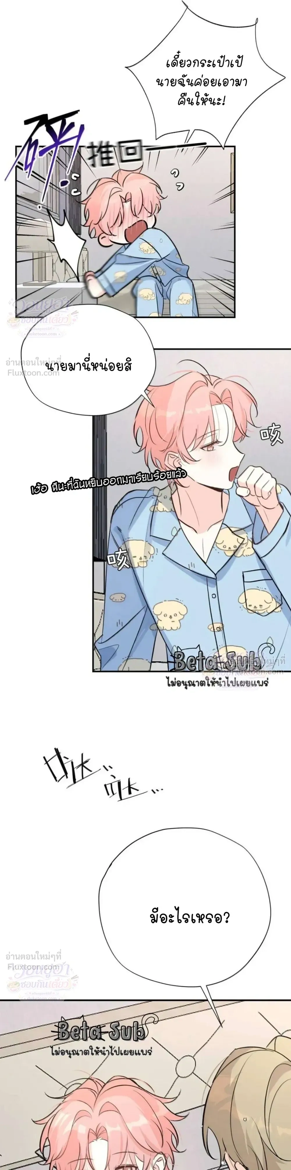 หน้าที่ 8