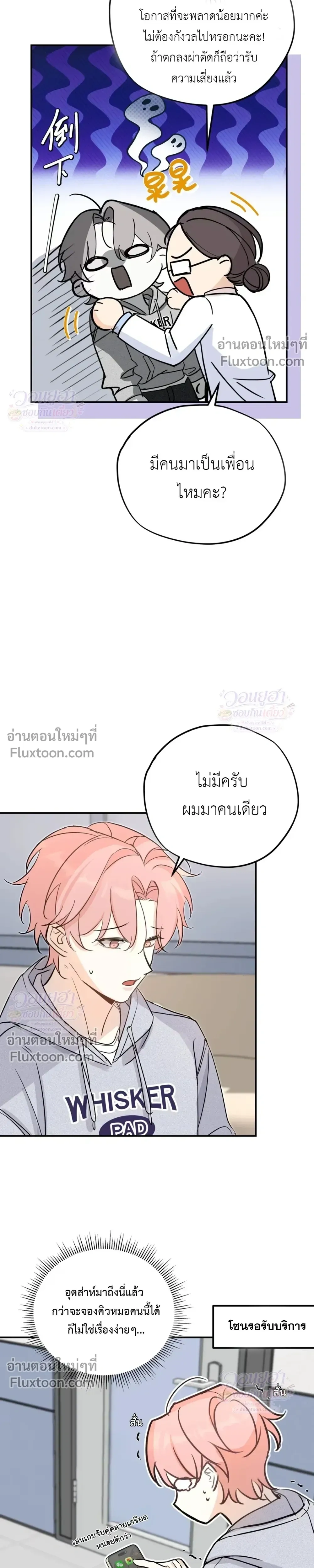 หน้าที่ 13