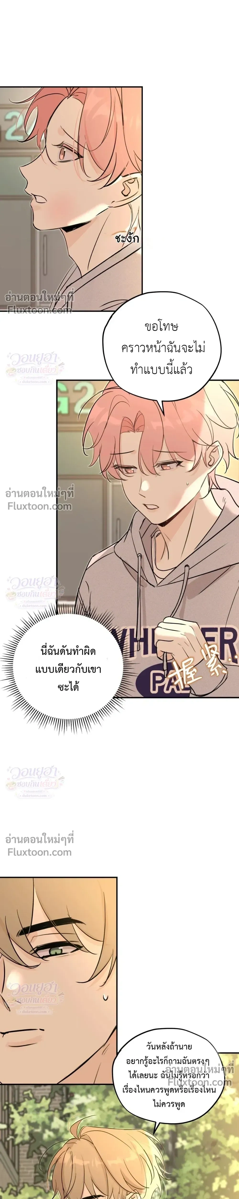 หน้าที่ 13