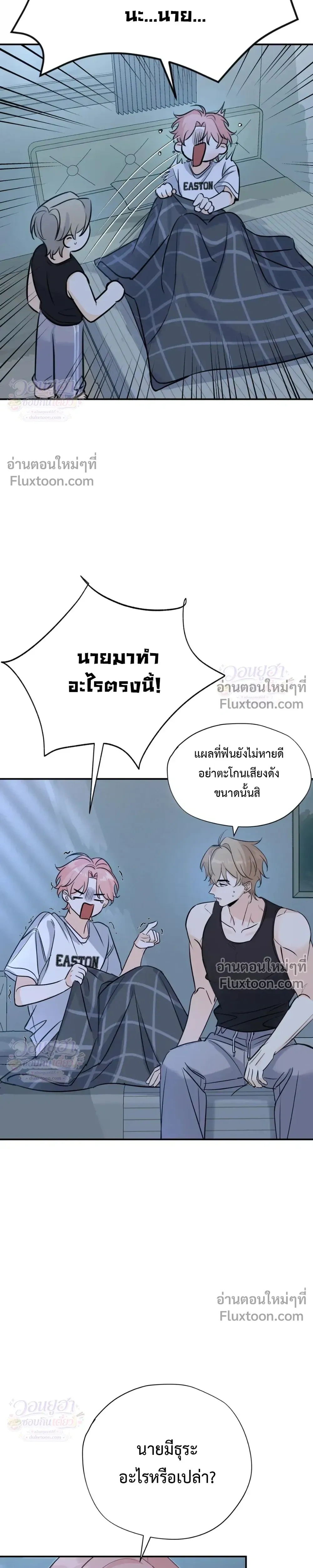 หน้าที่ 13