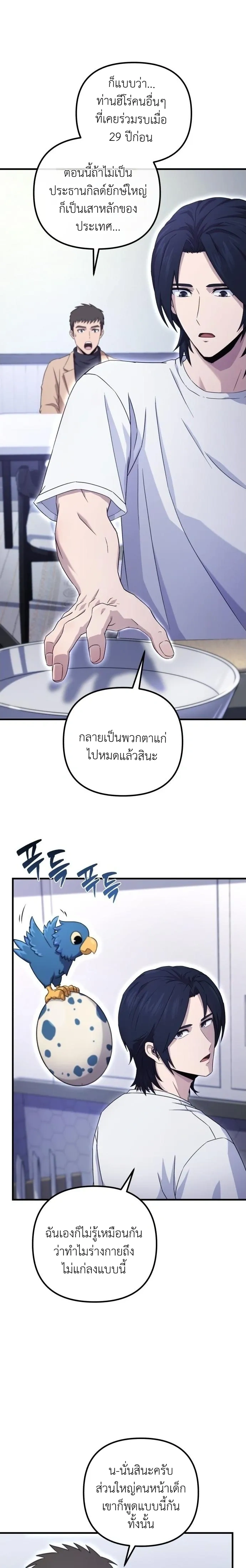 หน้าที่ 29