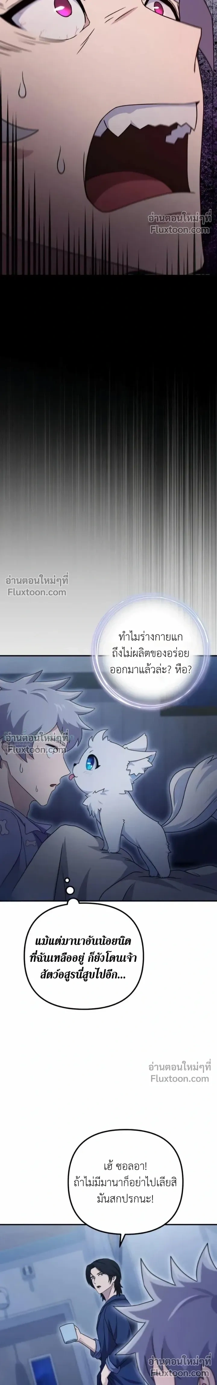 หน้าที่ 33