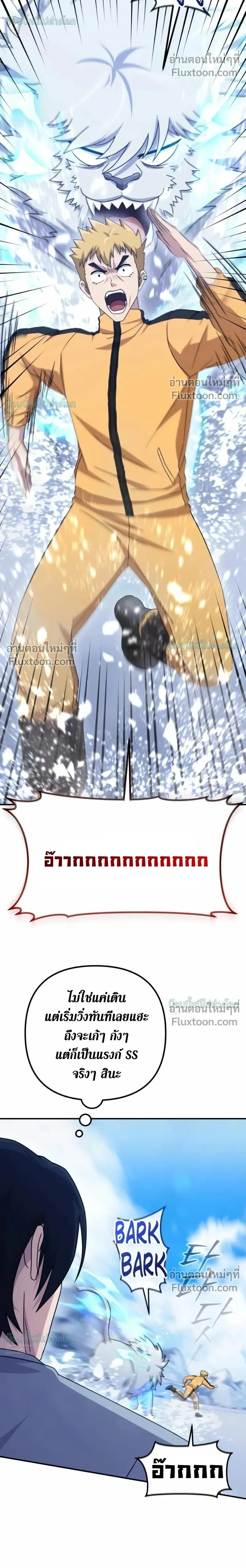 หน้าที่ 31