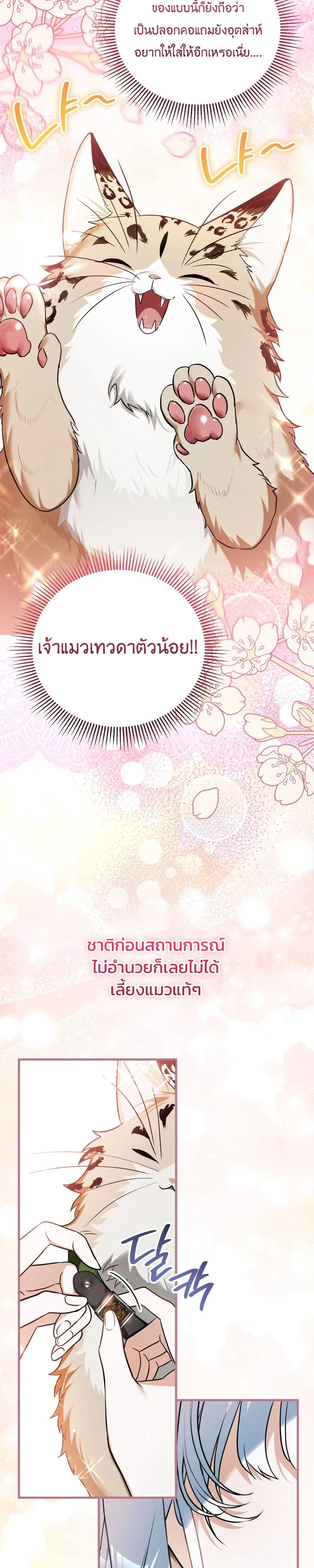 หน้าที่ 33
