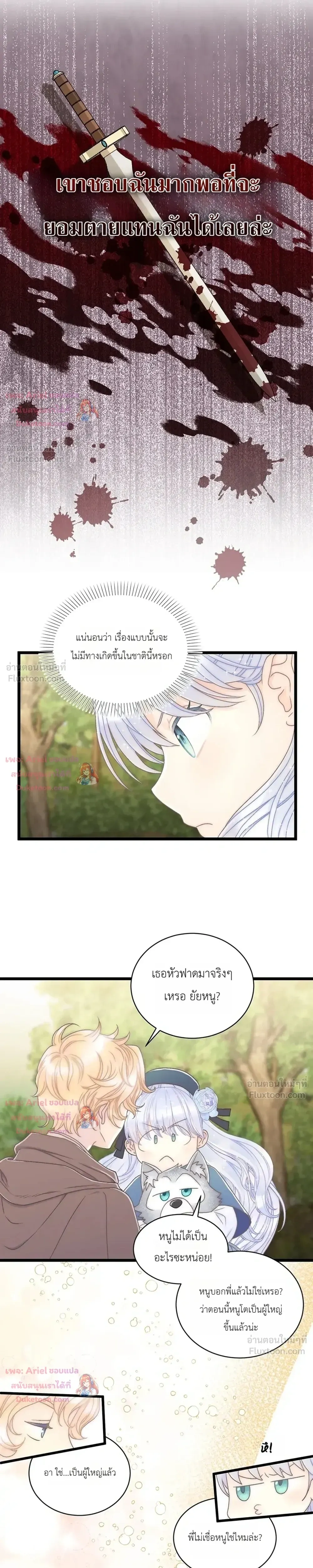หน้าที่ 13