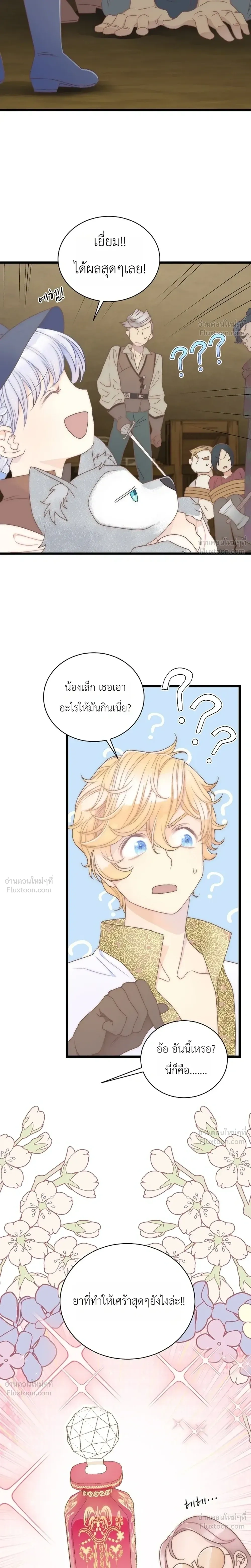 หน้าที่ 29