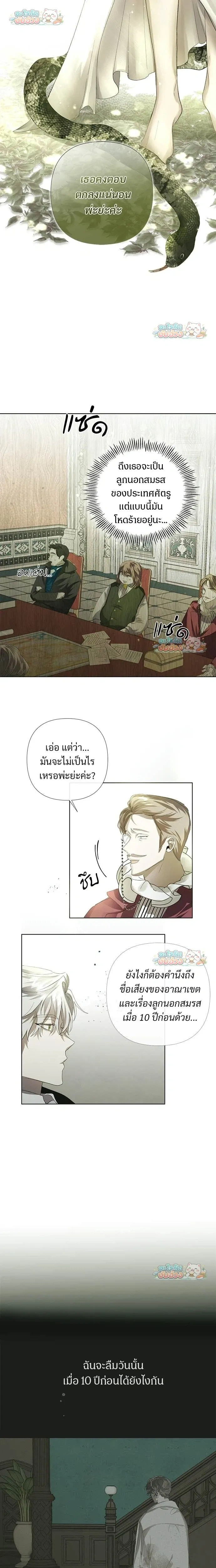 หน้าที่ 11