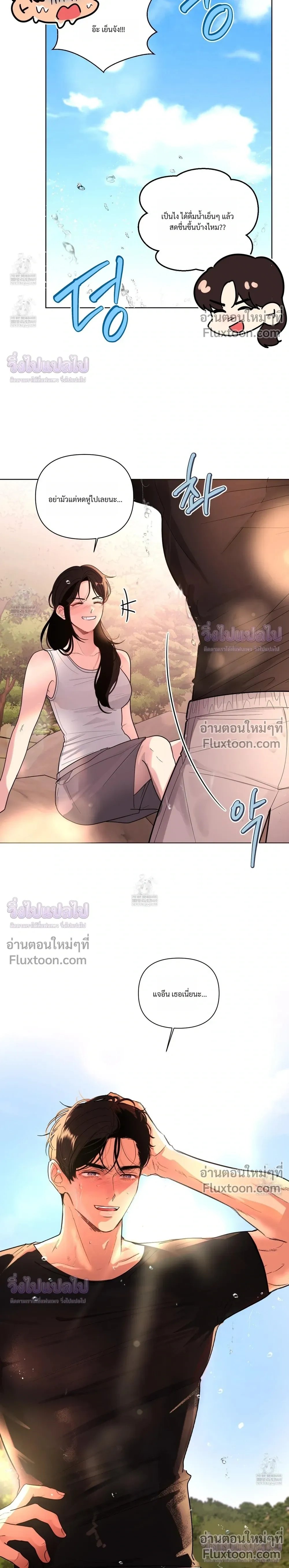 หน้าที่ 13