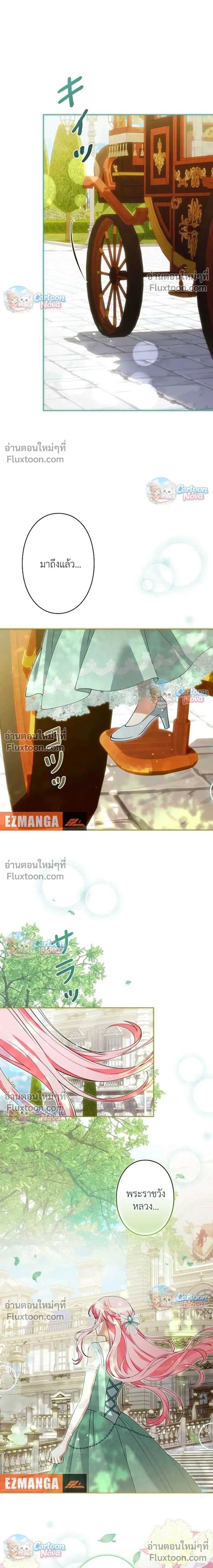 หน้าที่ 31