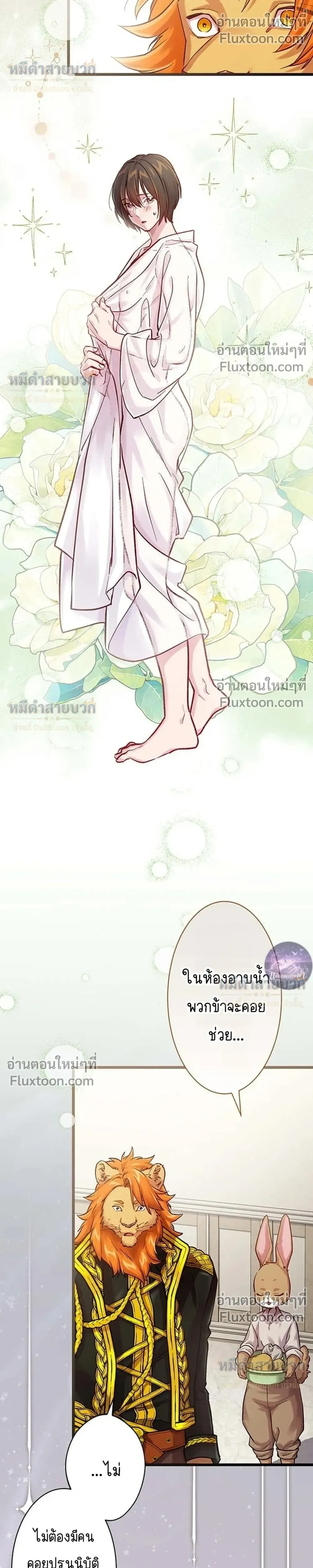 หน้าที่ 17