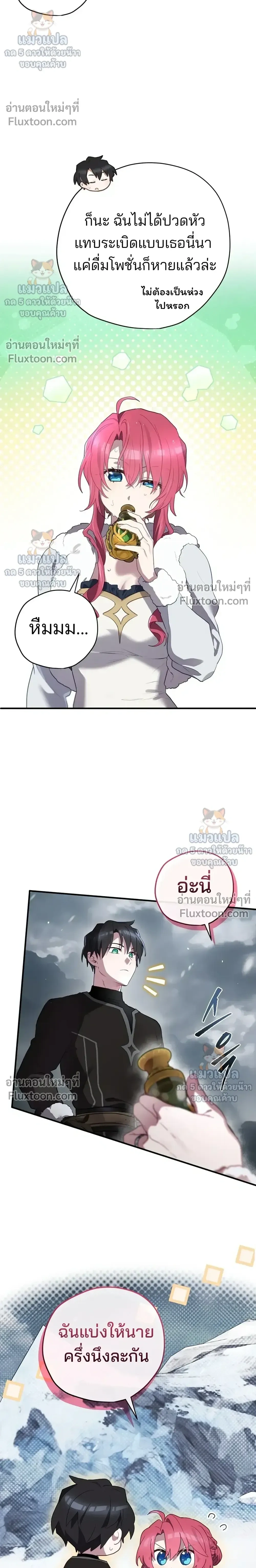 หน้าที่ 17