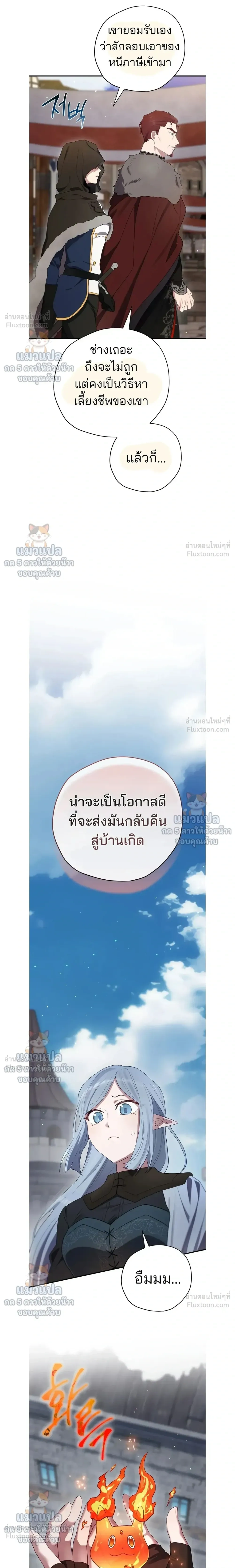 หน้าที่ 29