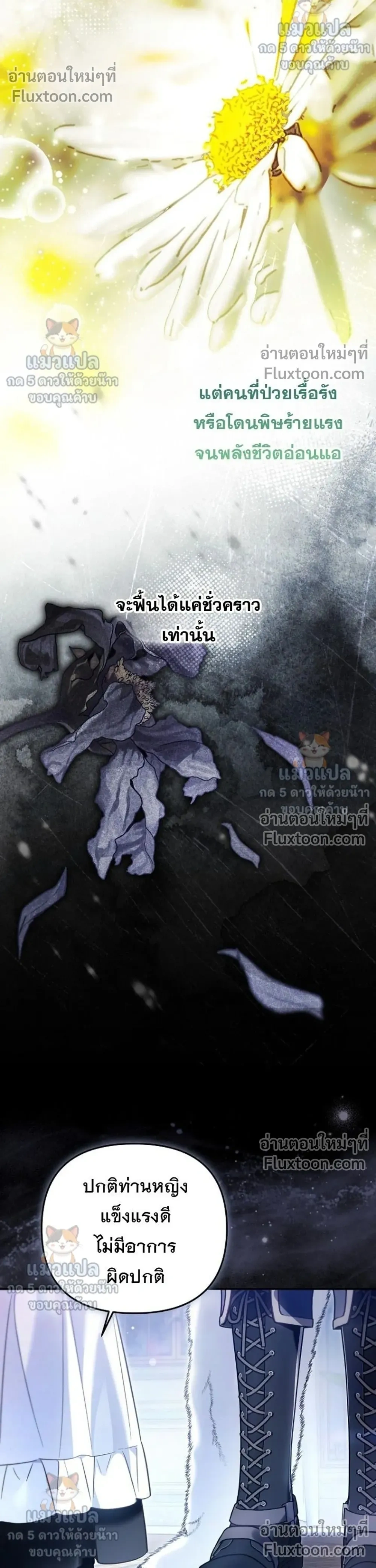 หน้าที่ 26
