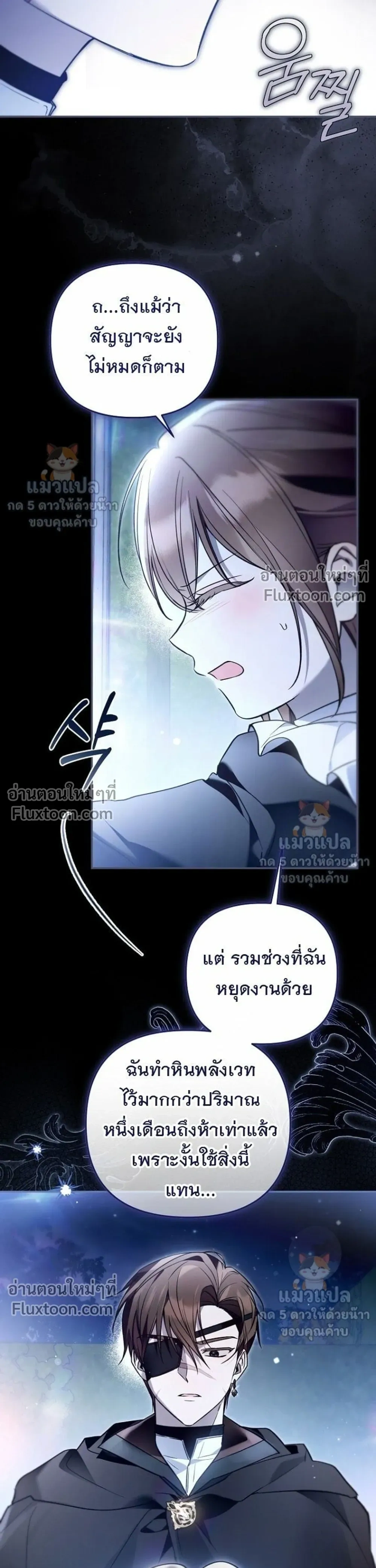 หน้าที่ 29