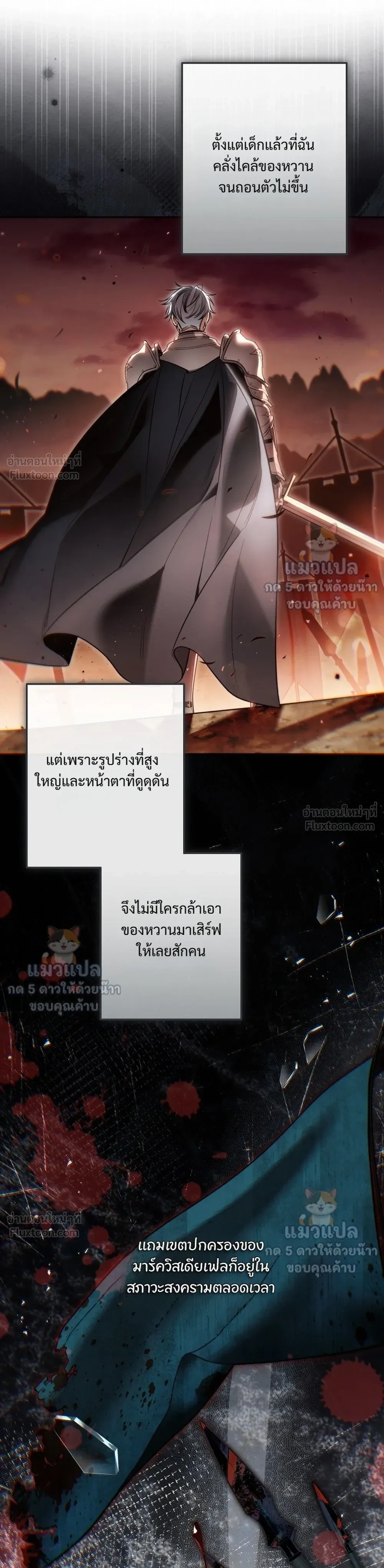 หน้าที่ 17