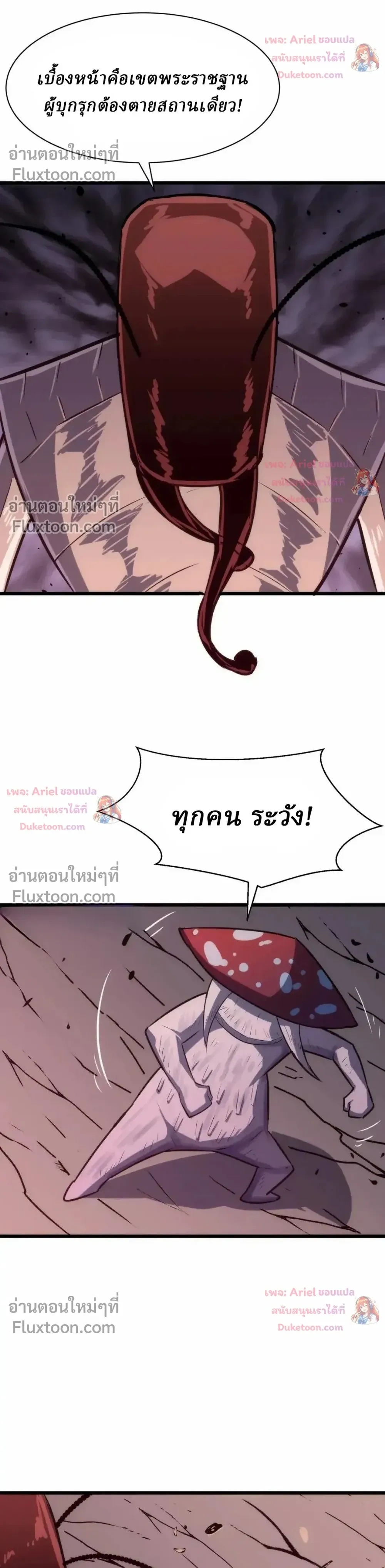 หน้าที่ 22