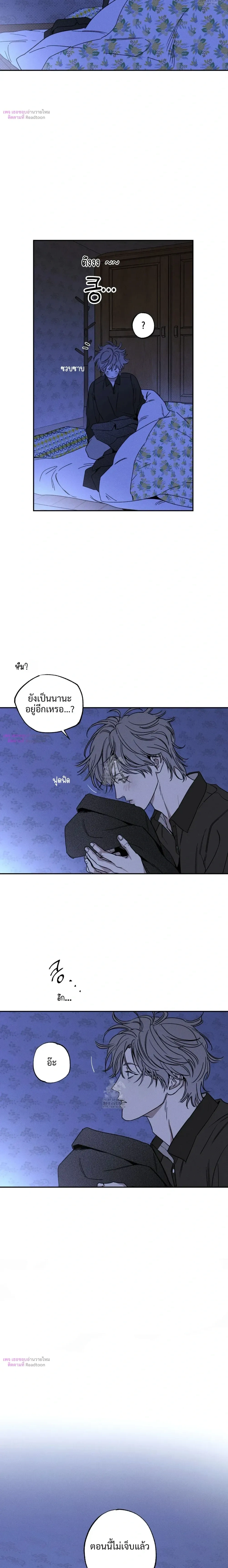 หน้าที่ 12