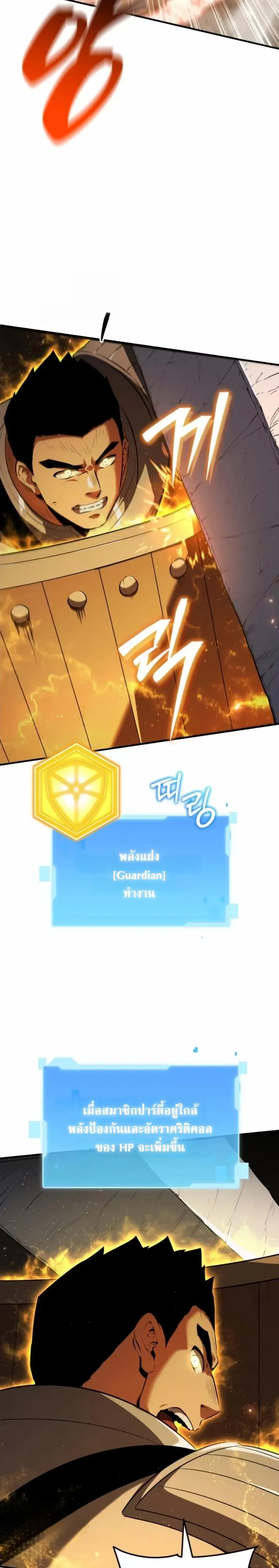 หน้าที่ 29