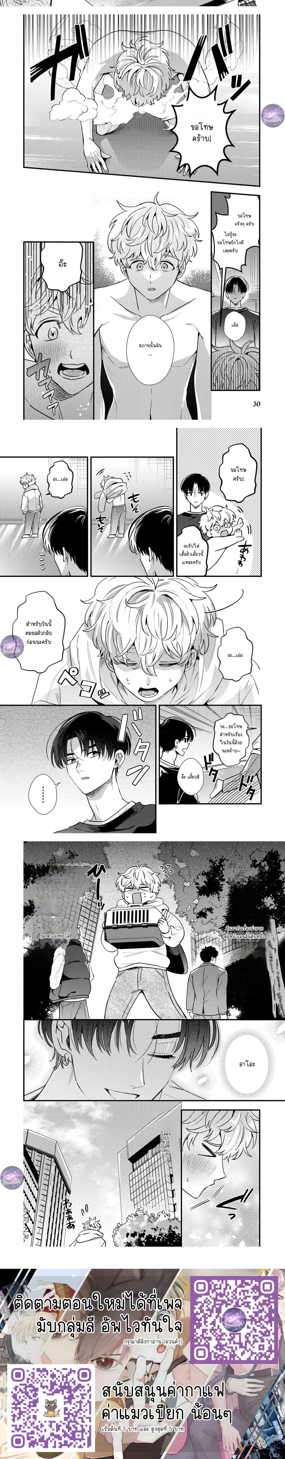 หน้าที่ 8